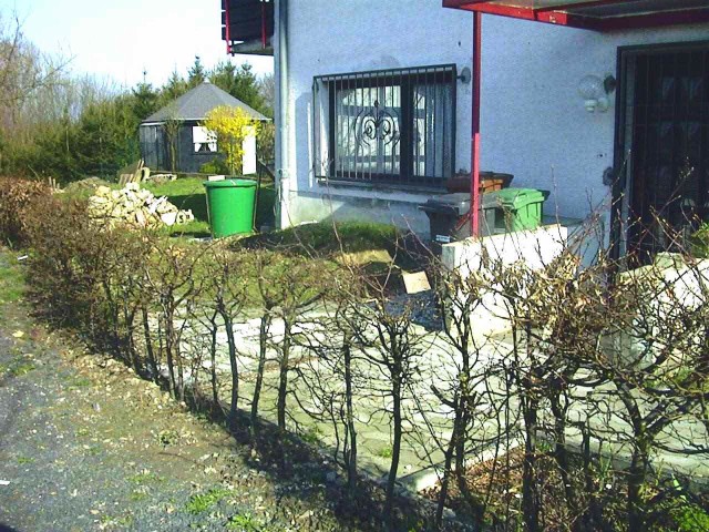 Backhaus - nachgepflanzte Hecke